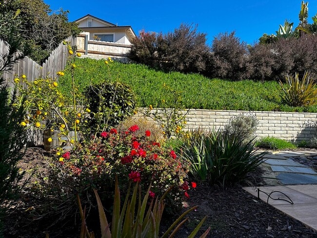 Building Photo - 3/2 house in North Clairemont! 2 car garag...