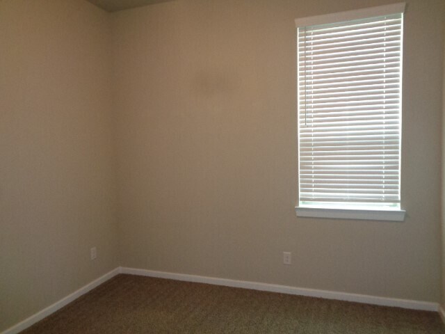 Building Photo - 27029 Sofia Forest Dr