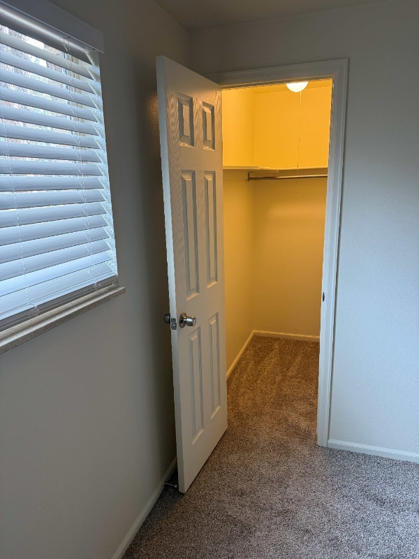 Building Photo - 5868 Newcombe Ct