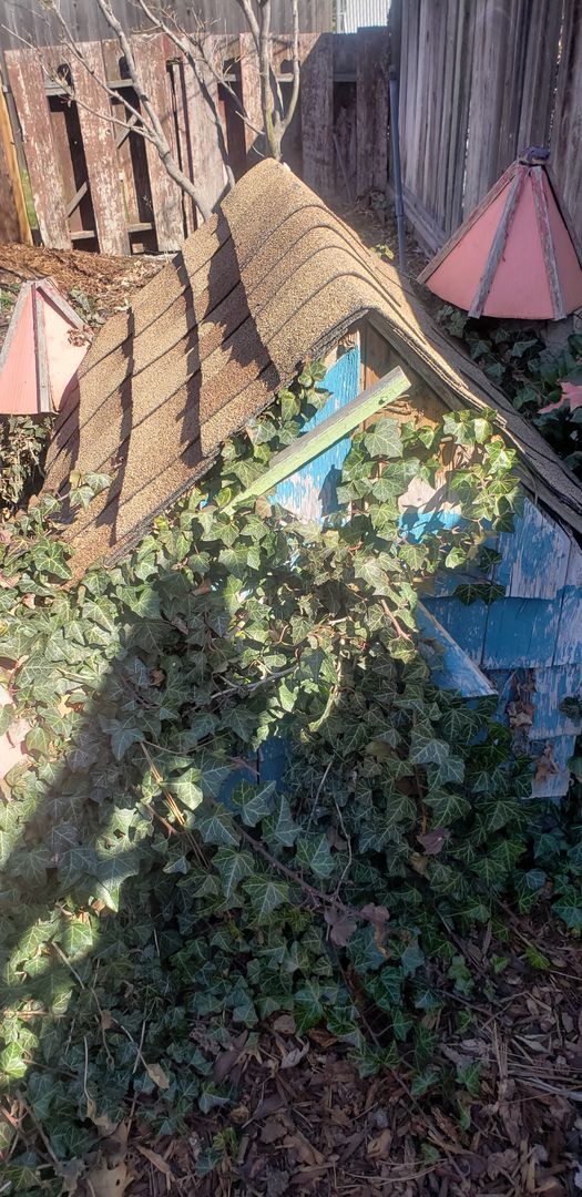 Building Photo - Available June 10th 3-bedroom, 2 bath home on a corner lot near Hamblen Elementary School