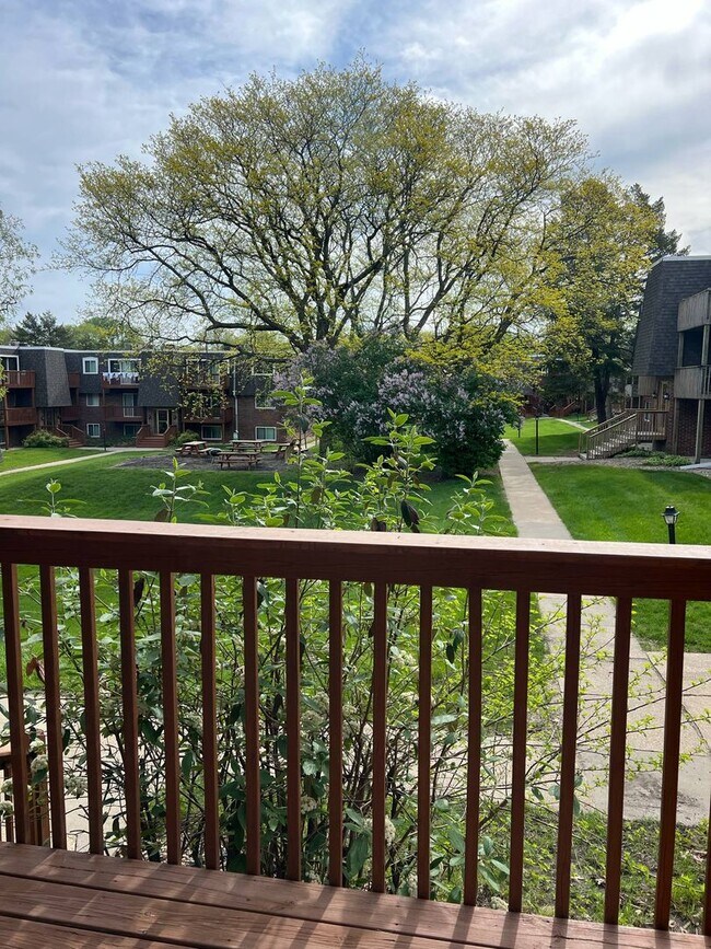 Interior Photo - Lantern Square Apartments Spacious 1, 2 & 3 Bedrooms