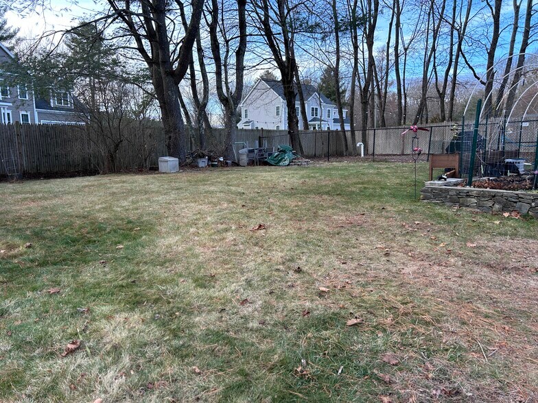 Yard - 29 Lakeview Rd