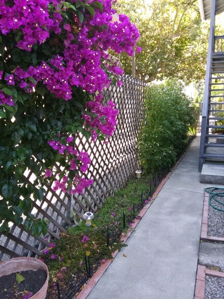 Lovely side walks off Units 2/4 - 47 Atlas Ave