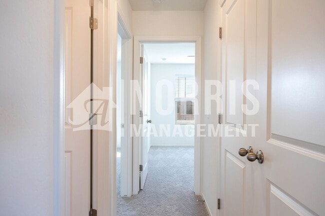 Building Photo - Beautiful Brand New Home