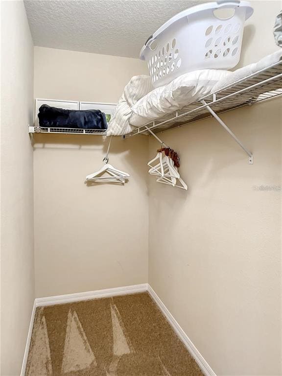 Building Photo - 9029 Paolos Pl