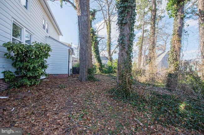 Building Photo - 417 Winder St