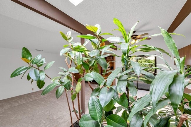 Building Photo - Affordable 2bed/2bath in South Woodland