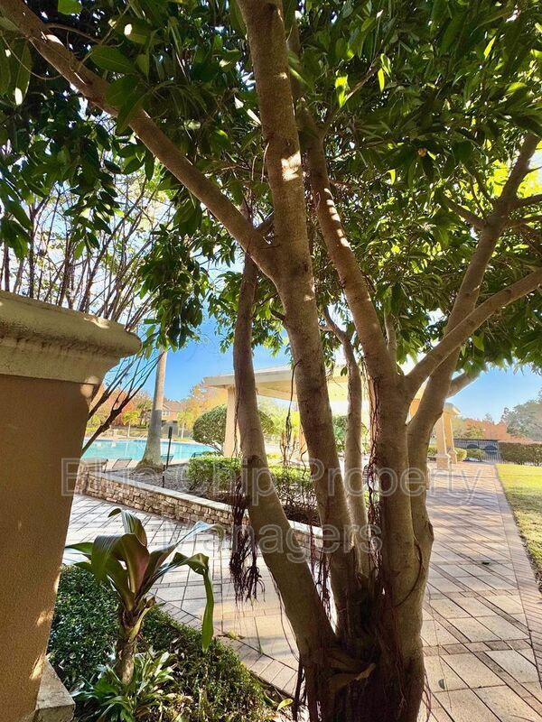 Building Photo - 6402 Cava Alta Dr