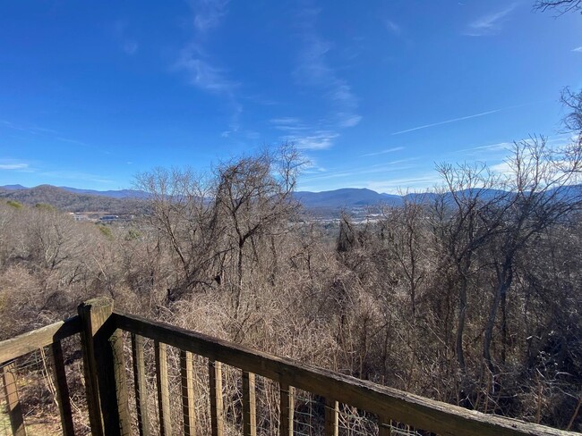 Building Photo - Central AVL - It's all about the view!!!