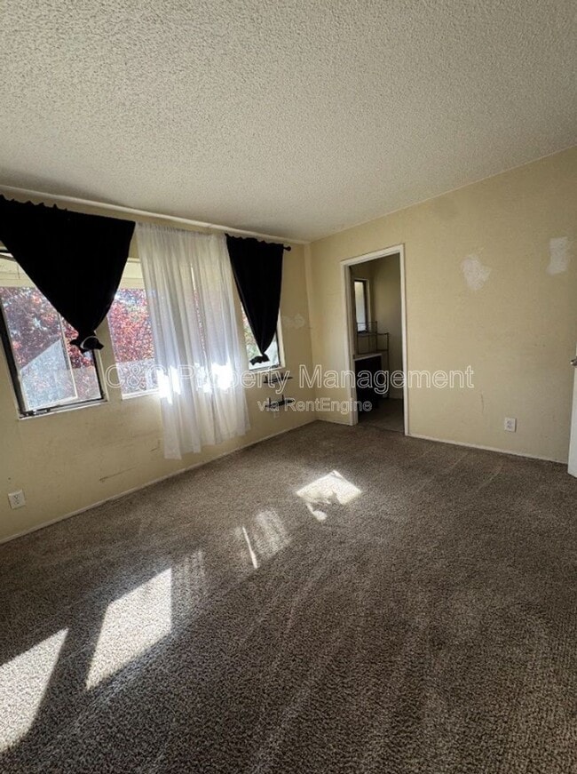 Building Photo - 2420 Shadow Ln