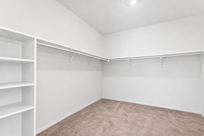 Building Photo - 4729 San Rufo Dr