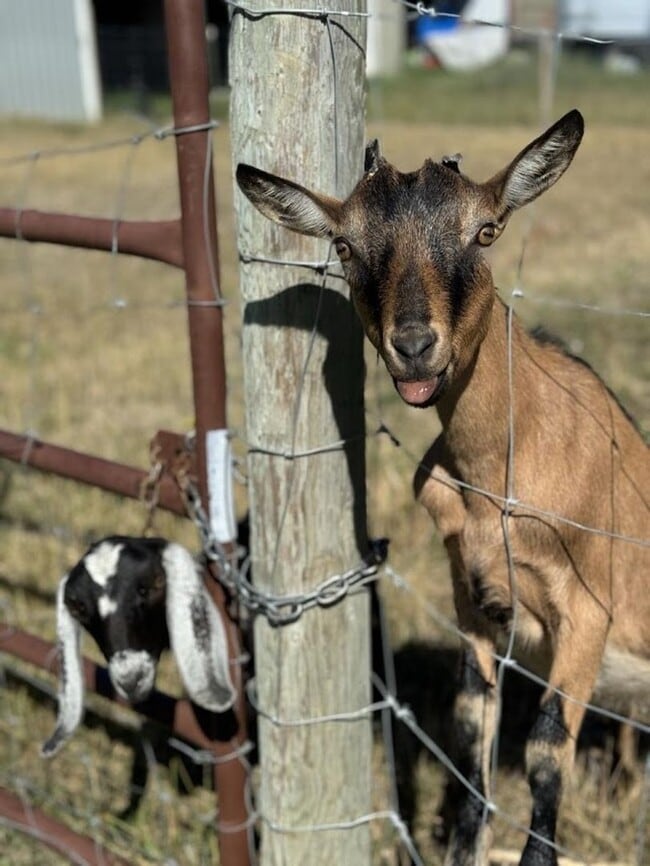 Building Photo - Beautiful Country Townhome!