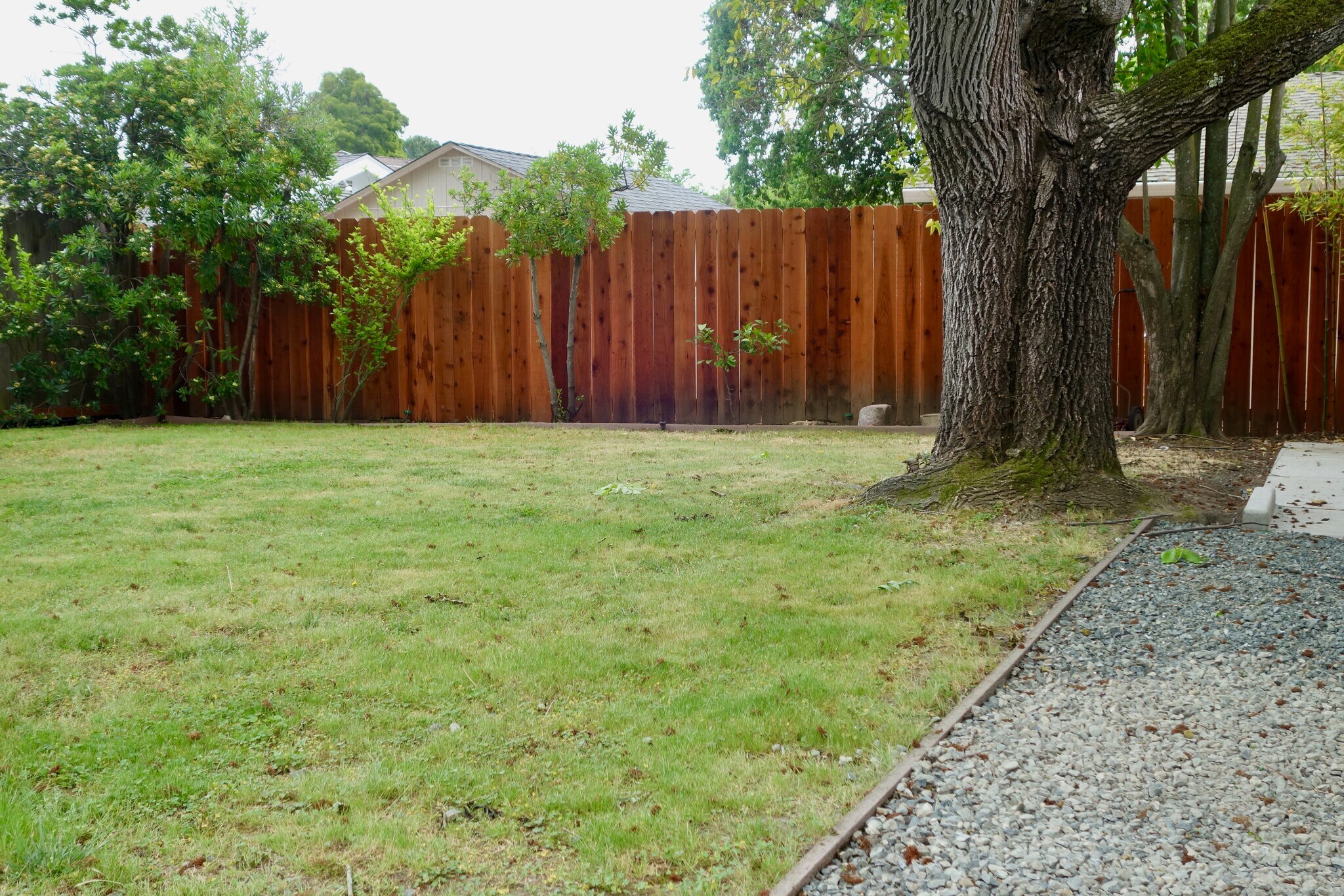 Building Photo - 609 Maureen Ln