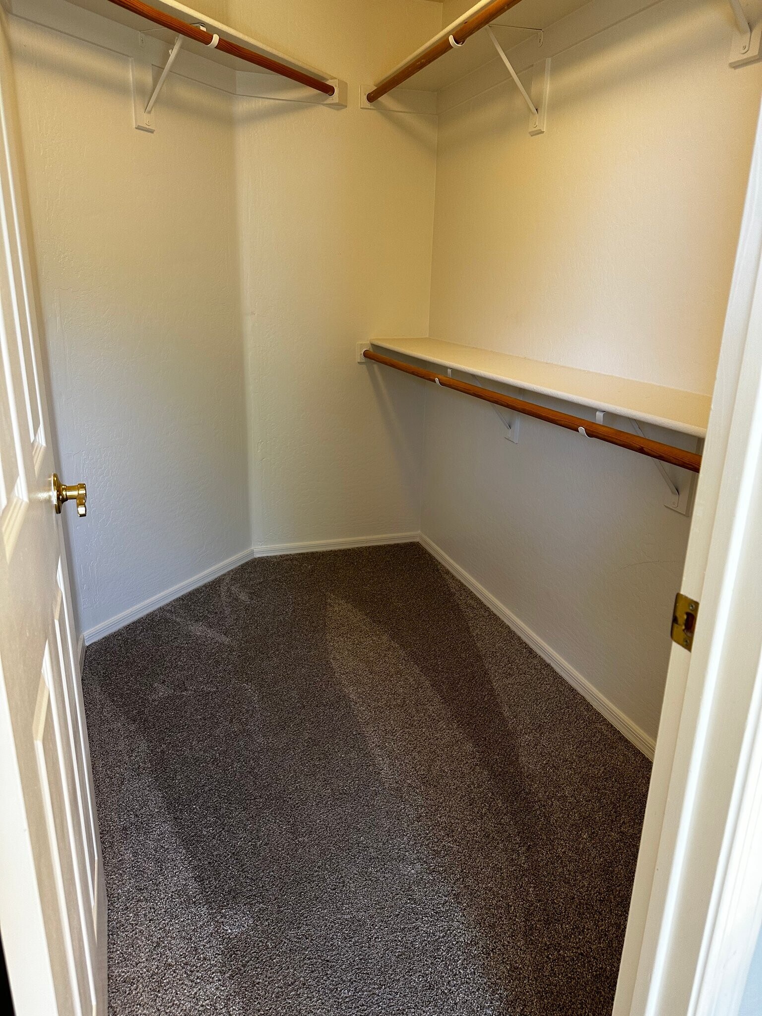 Building Photo - 10317 E Penstamin Dr