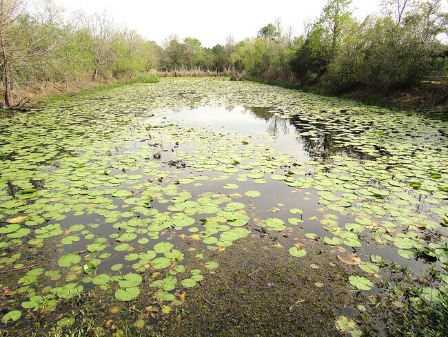 Building Photo - Conveniently Located Northeast Houston Are...