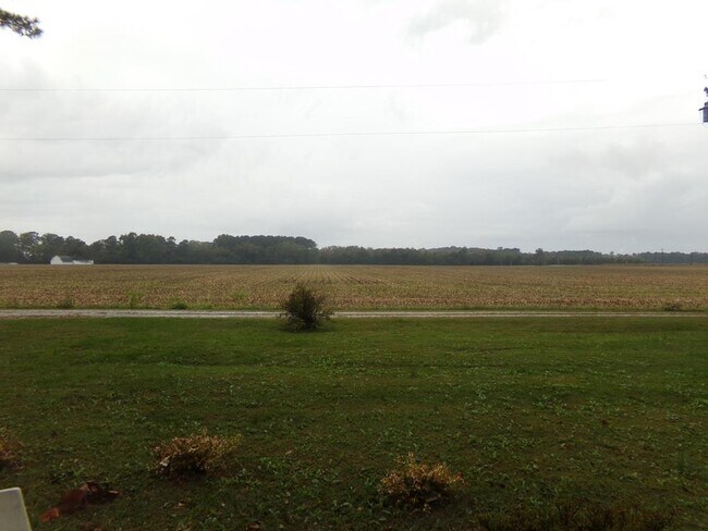 Building Photo - 35561 Belle Haven Rd