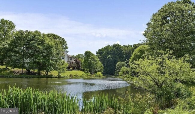 Building Photo - 24 Wilcox Ct