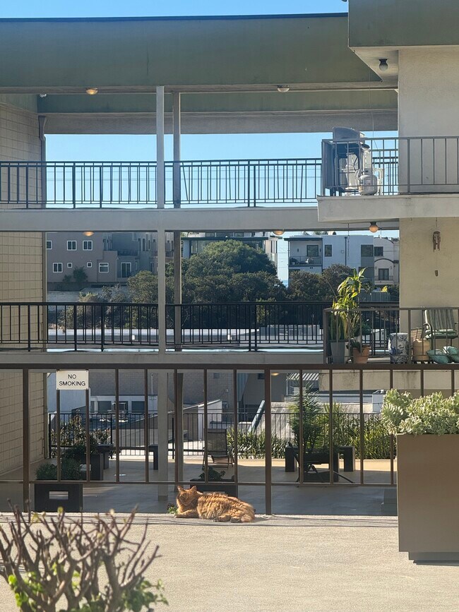 Building Photo - 1600 Ardmore Ave