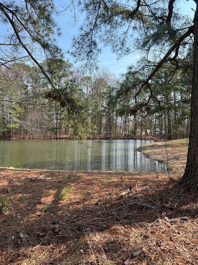 Building Photo - 110 Bugle Ct