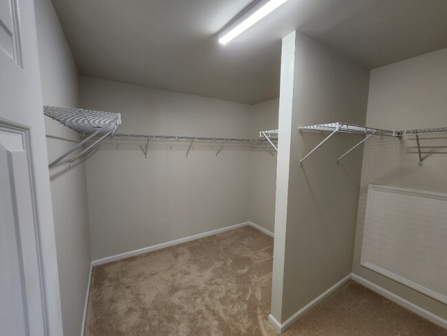 Building Photo - 317 Timber Meadow Lake