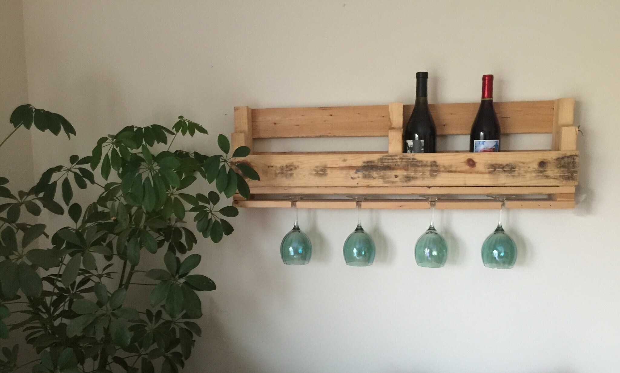 Kitchen area - 1331 W 3rd St