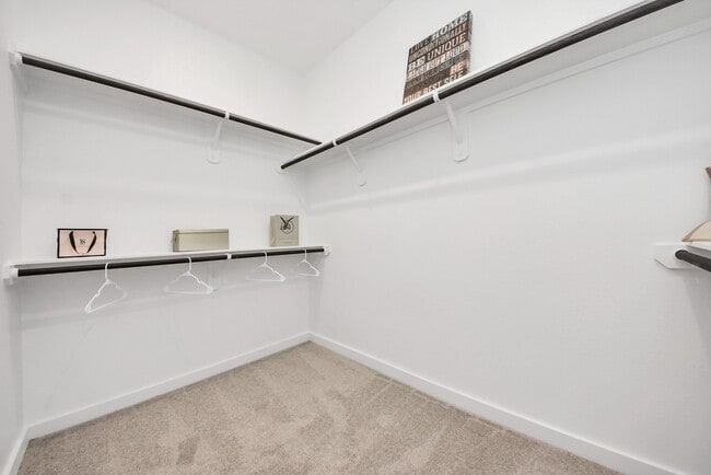 Building Photo - 16981 Juniper Blossom Bnd