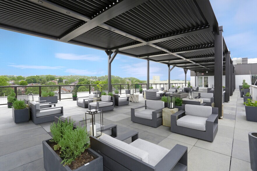 Ollie at Baumhaus Pittsburgh, PA Apartment Finder