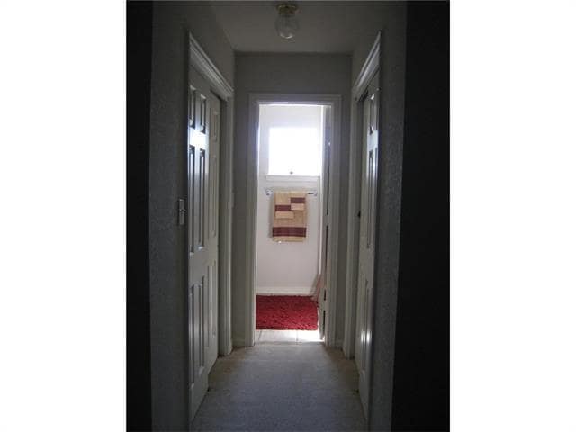 Building Photo - 909 Avondale Ln