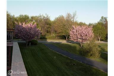 Building Photo - Spacious townhouse, walk to METRO, pool, parking, all you could want!