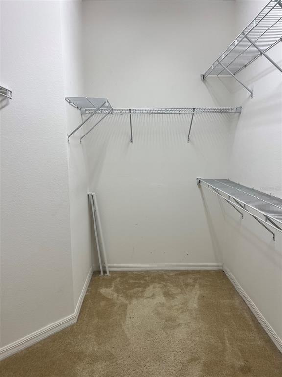 Building Photo - 682 Star Magnolia Dr