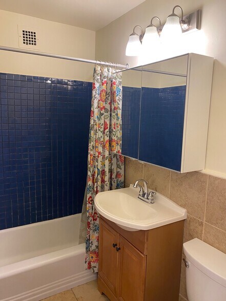 Bathroom sink, tub & shower - 3000 Spout Run Pkwy
