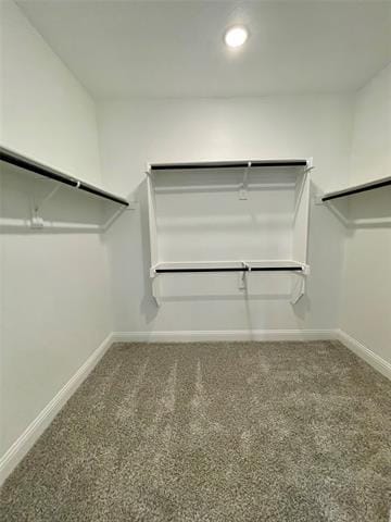 Building Photo - 608 Portina Dr