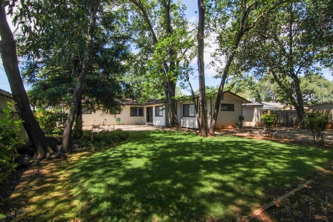 Building Photo - Spacious Home Near Mistletoe Elementary Sc...