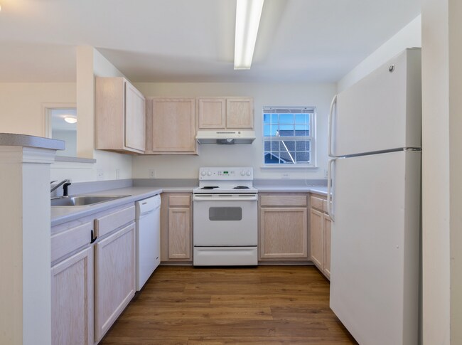 Building Photo - 3 Bedroom Apartment in University Village