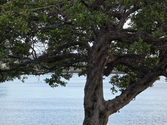 Building Photo - 111 Lake Ave