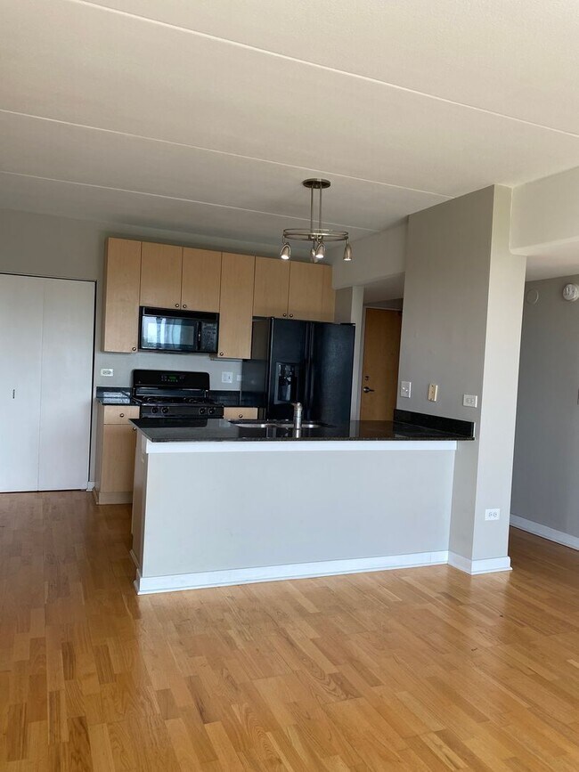 Building Photo - 1 Bed, 1 Bath Condo Near Downtown Evanston...