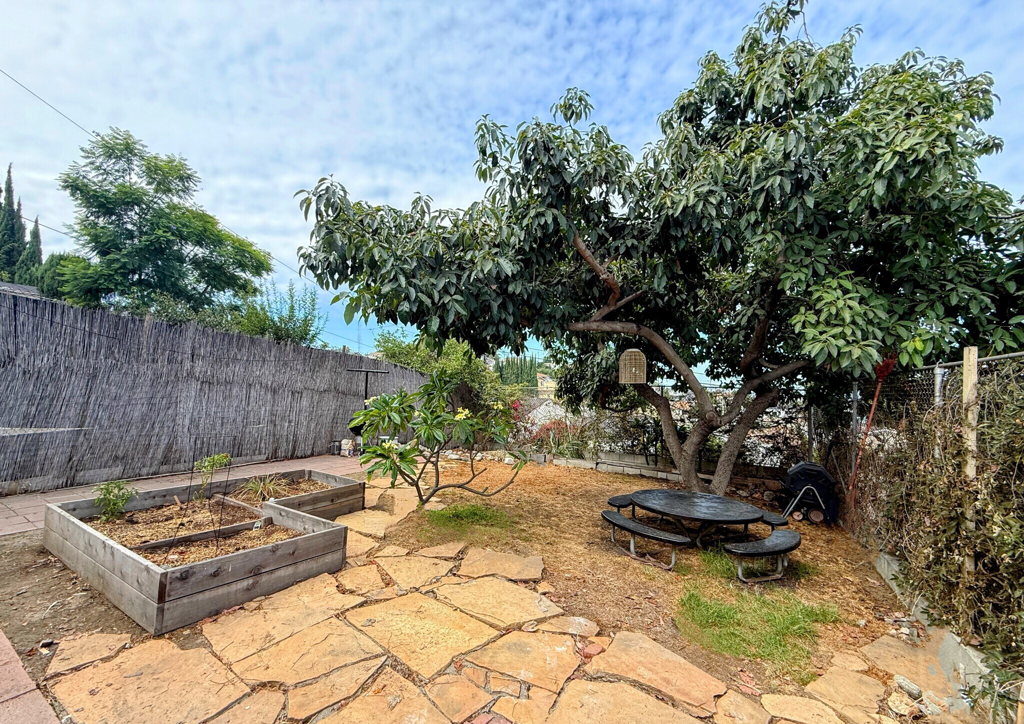 Backyard - 1369 Helen Dr
