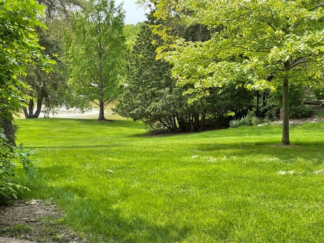 Building Photo - 1 Bed 1 Bath