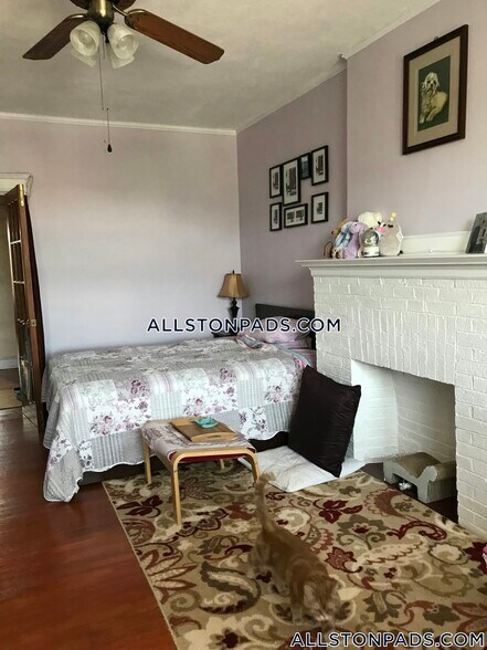 Building Photo - 1251 Commonwealth Ave