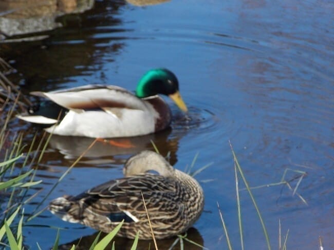 Building Photo - 25 1/2 King St