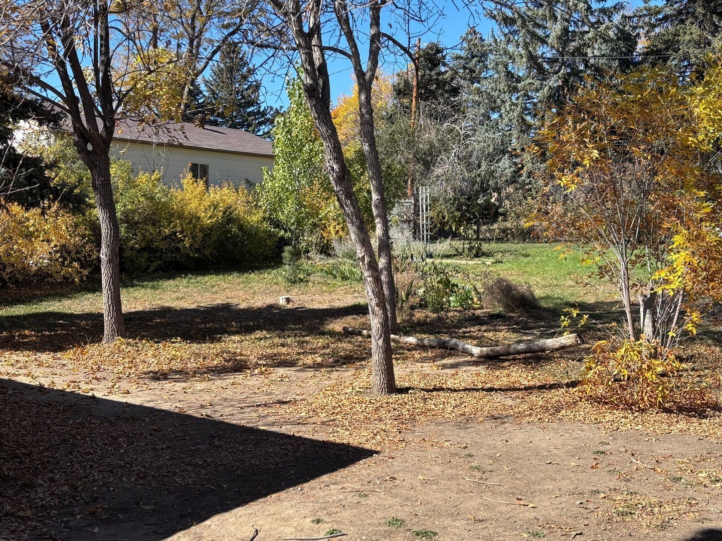 Building Photo - 11065 Pinyon Dr