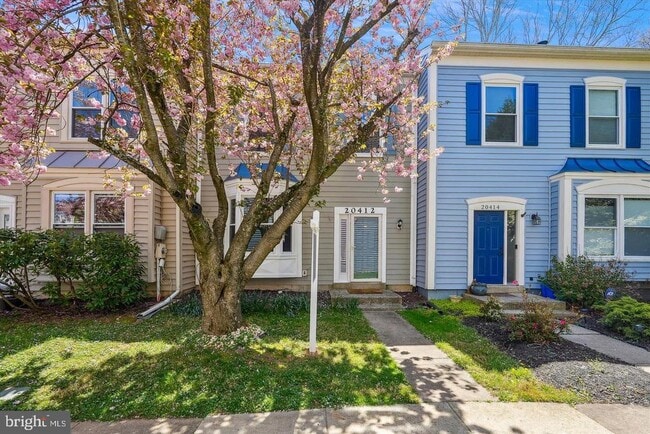 Primary Photo - 20412 Sunbright Ln