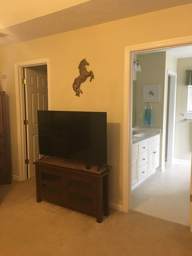 master bedroom TV - 1243 Carriage Dr