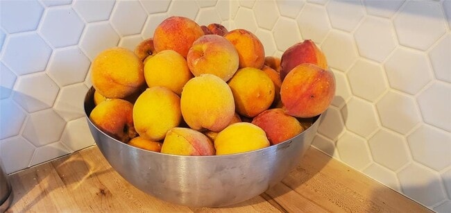 Building Photo - 5216 Coppermead Ln