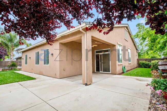 Building Photo - 1491 Maehl Dr