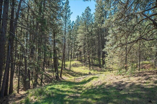 Building Photo - Private 2.5-Acre Country Retreat — Minutes from Downtown Spokane