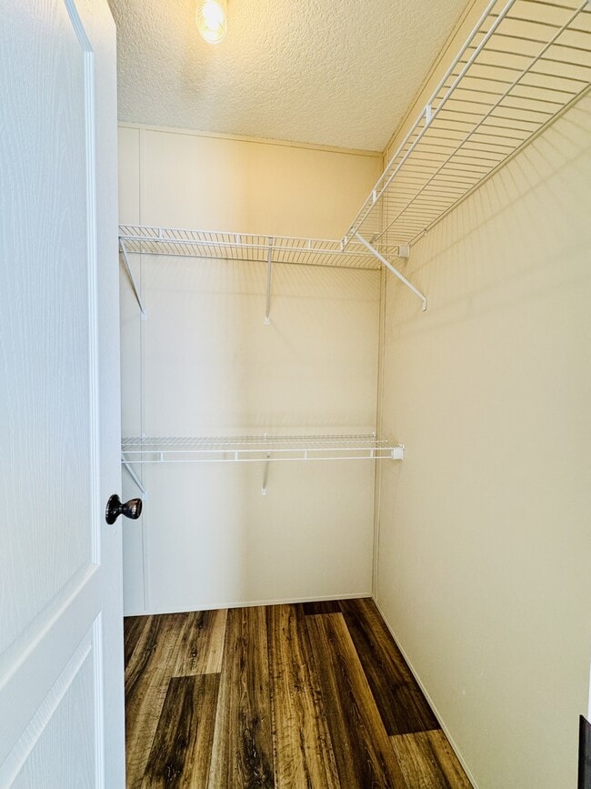 Building Photo - 116 Blissful Ct