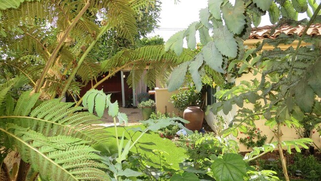 Garden View from Master Bedroom - 1103 S Crescent Heights Blvd