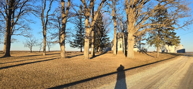 Building Photo - 10006 60th Ave SW