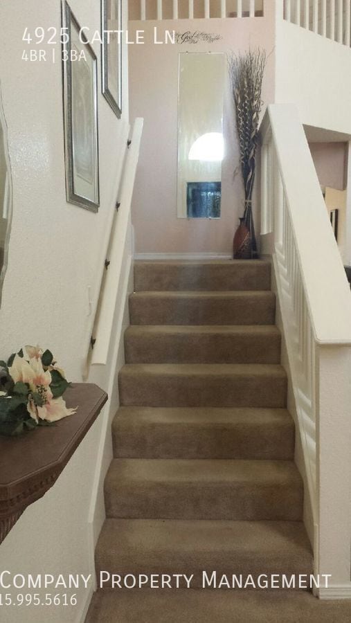 Building Photo - 4925 Cattle Ln